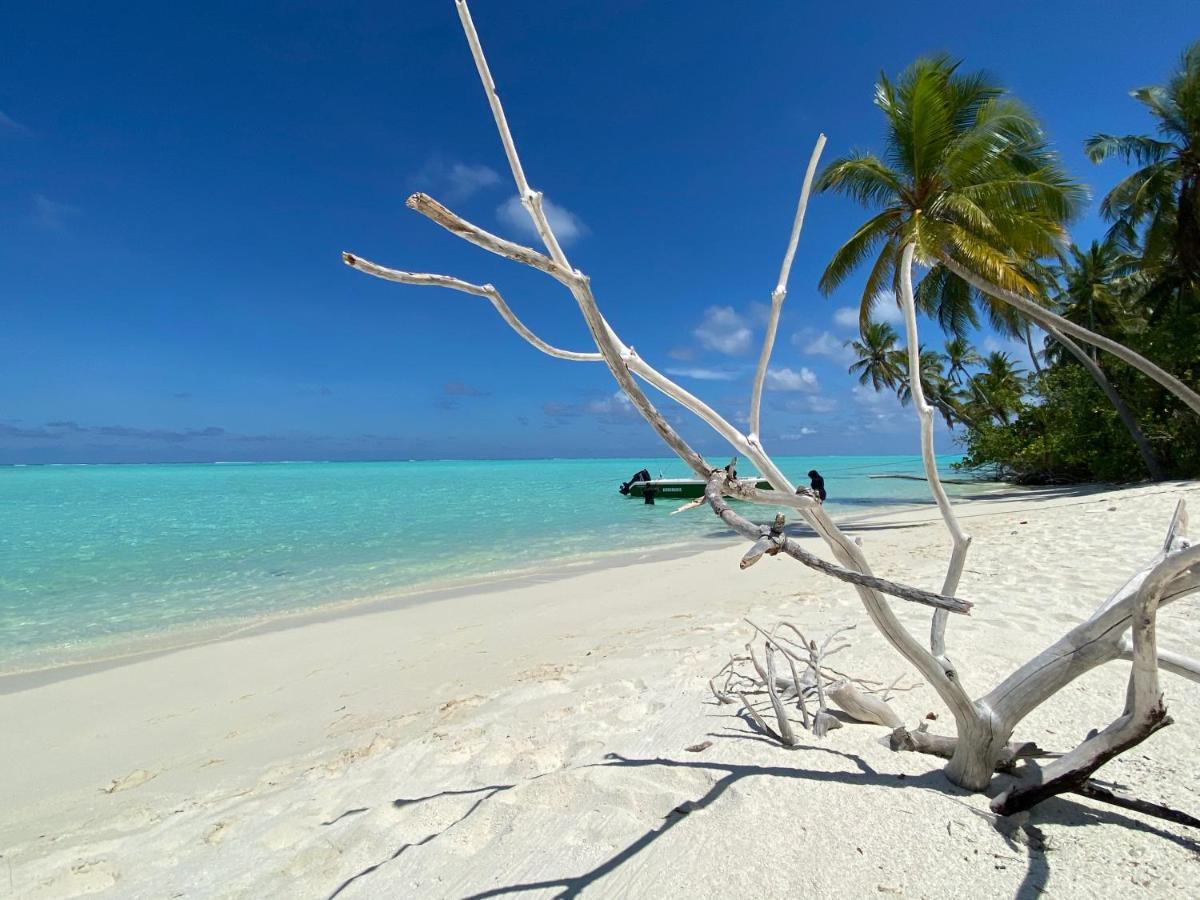 Alimas Holiday Retreat Maldives Felidhoo Exterior foto