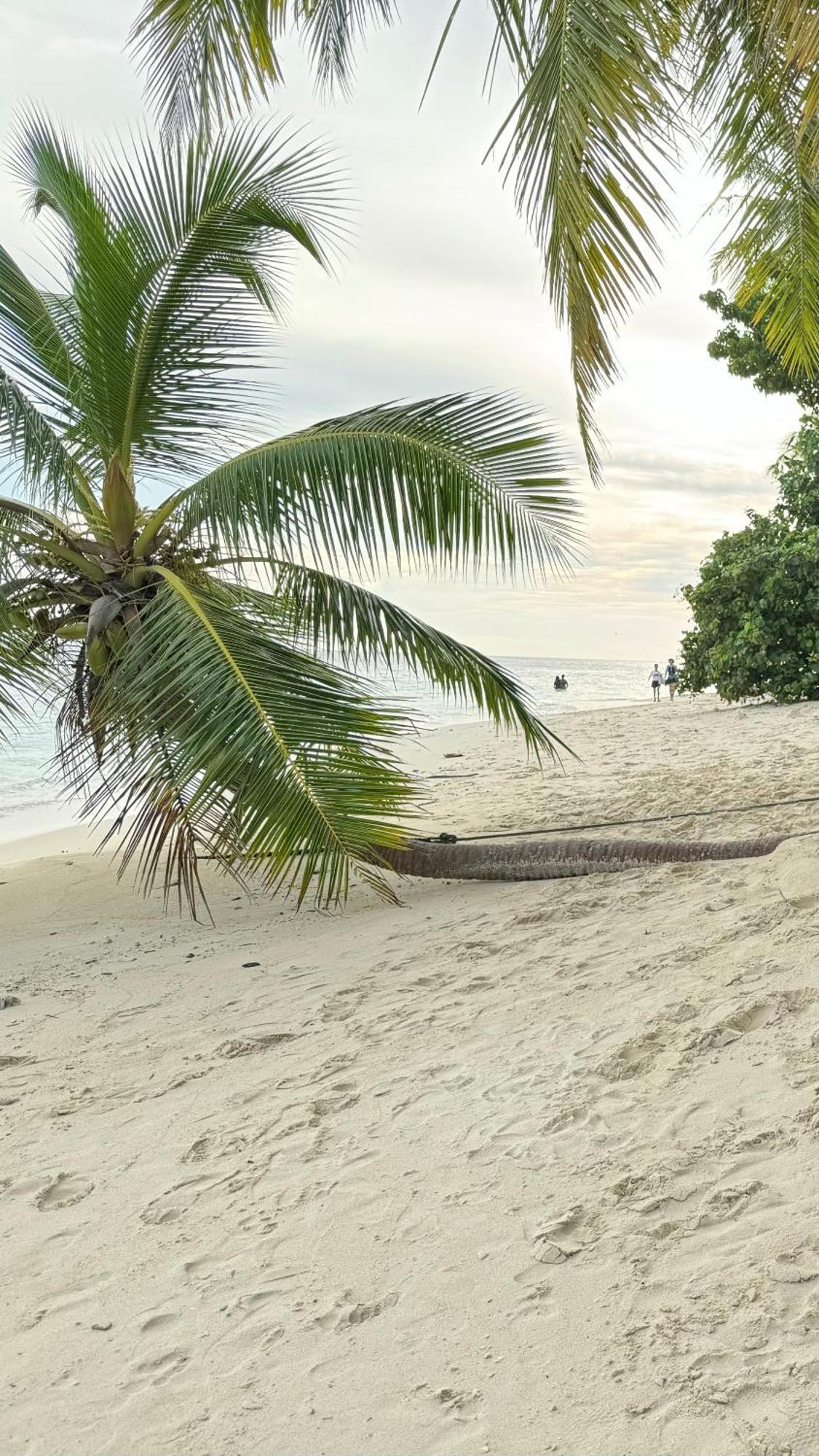 Alimas Holiday Retreat Maldives Felidhoo Exterior foto